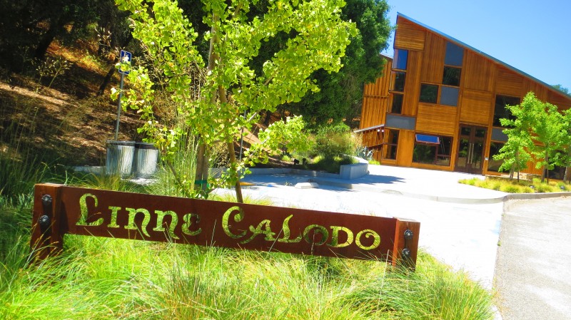 Linne Calodo wine tasting