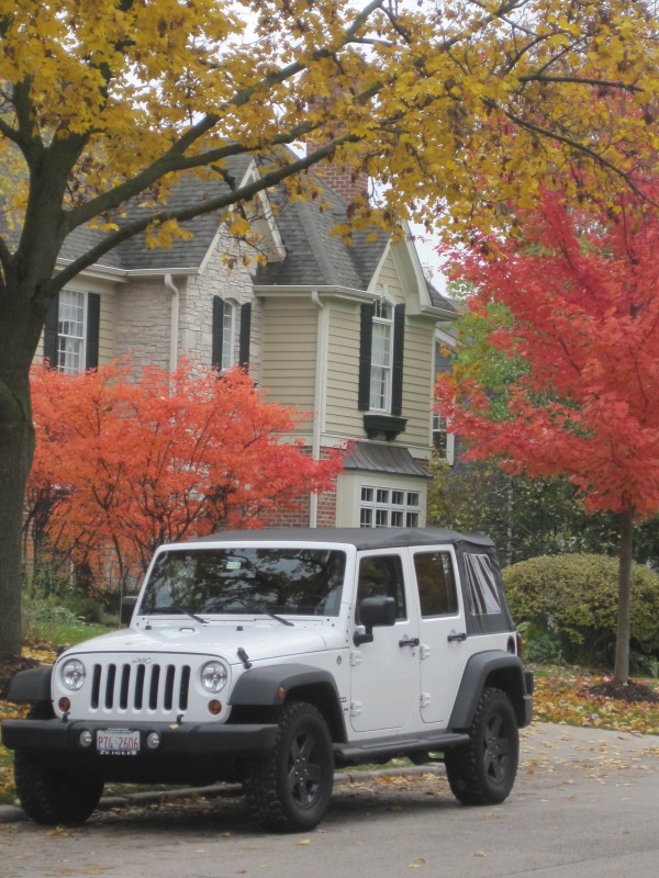 our Wrangler with fall trees 2