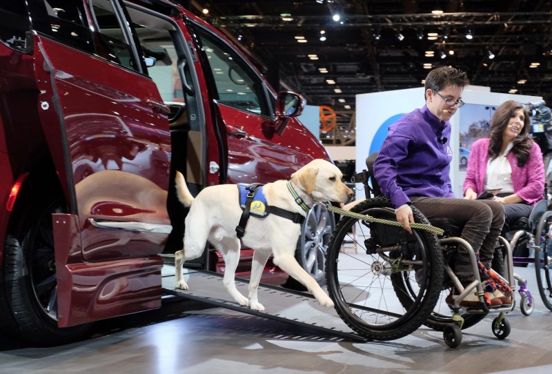 Mork, a companion dog for Wallis Brozman, demonstrates how he provides assistance getting a wheelchair in and out of the Chrysler Pacifica Braun Automobility minivan. 